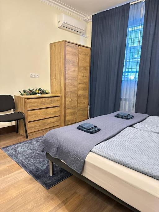 Centre Stylish With Private Backyard Apartment