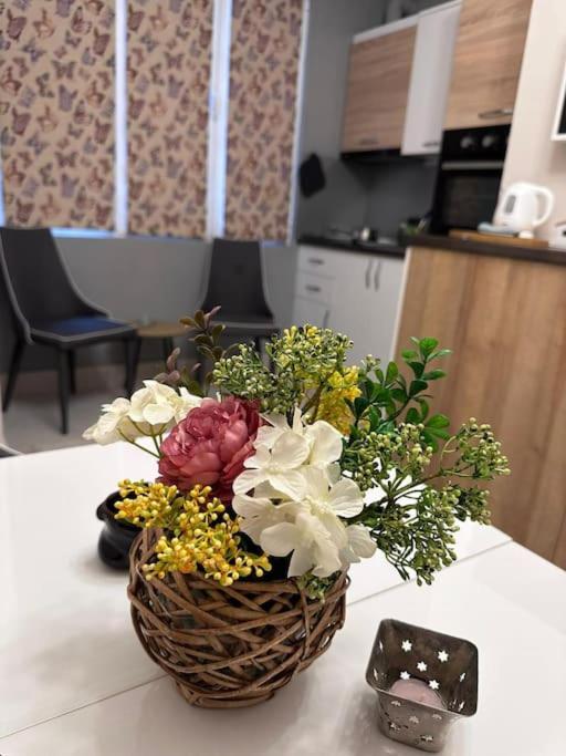Apartment Centre Stylish With Private Backyard Sofia