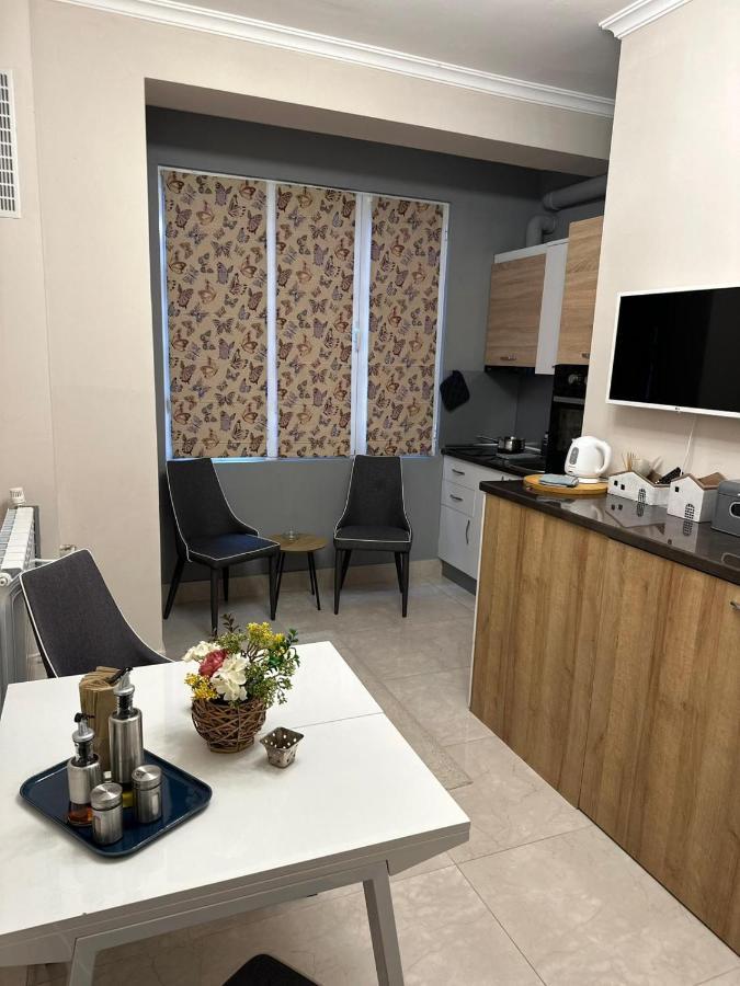 Centre Stylish With Private Backyard Apartment